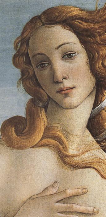 Sandro Botticelli The Birth of Venus (mk36)